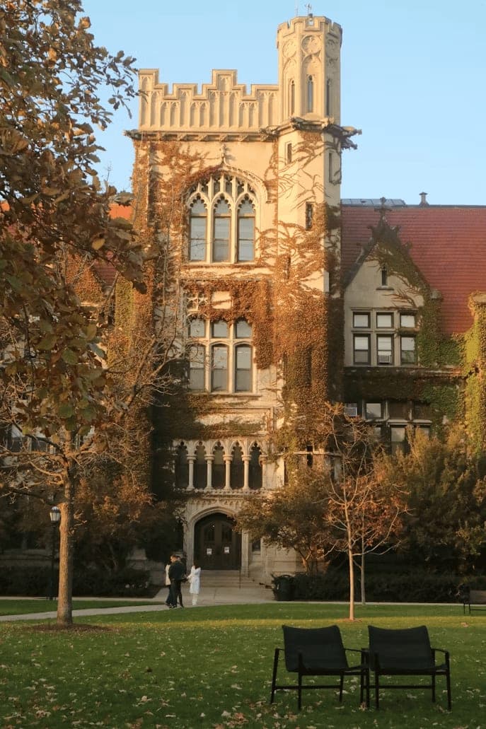 Higher Education